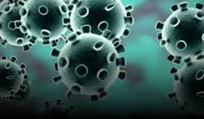  5-year-old girl dies of coronavirus in US