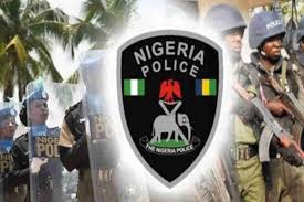  Finally: Nigeria Police dismiss officers who flogged woman in Osun