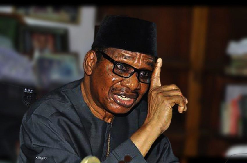  Itse Sagay urges FG to lock down Nigeria for two months 