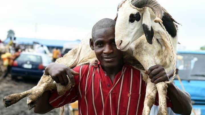  Kano Government Bans Sallah Festivities