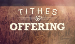 Screenshot_20200718-194122~2