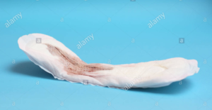 Screenshot_20200814-104039~2