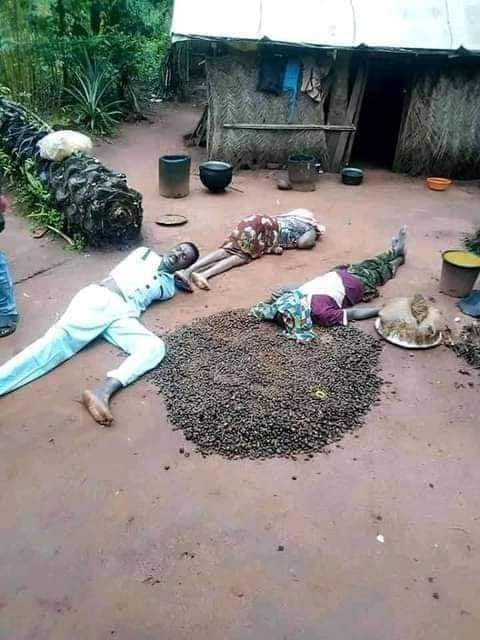 FB_IMG_1602442222328