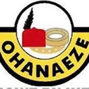  Ohanaeze decries attempt to pit Igbo against Yoruba in Lagos