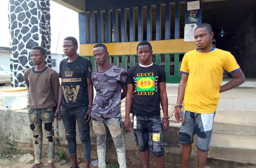  Lagos police arrest five traffic robber suspects