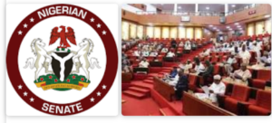 Screenshot_20201020-171749~2