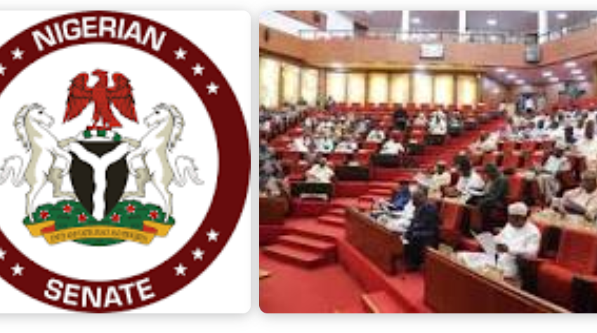  #ENDSAS: Senate asks Buhari to address angry Nigerian youths