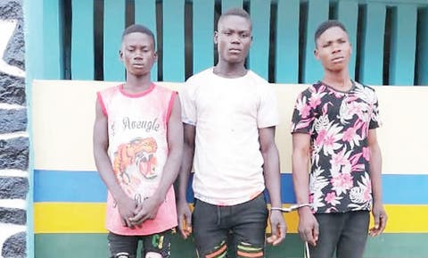  Three arrested in Ogun, gang-rapes and threatens victim