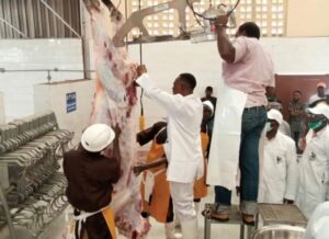 FB_IMG_1605207888108