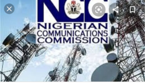 Screenshot_20201111-035850~2