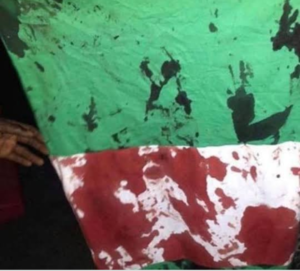 Screenshot_20201117-100748~2