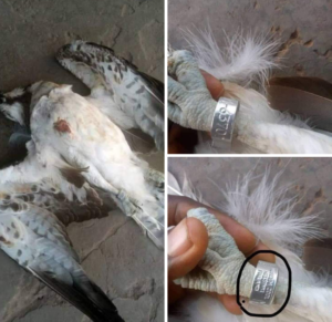 Screenshot_20201126-212656~2