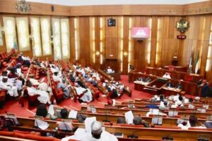 Lawmakers in deliberation at the National Assembly