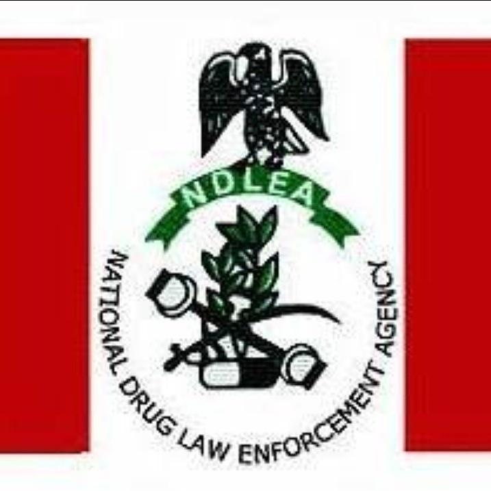 ndlea