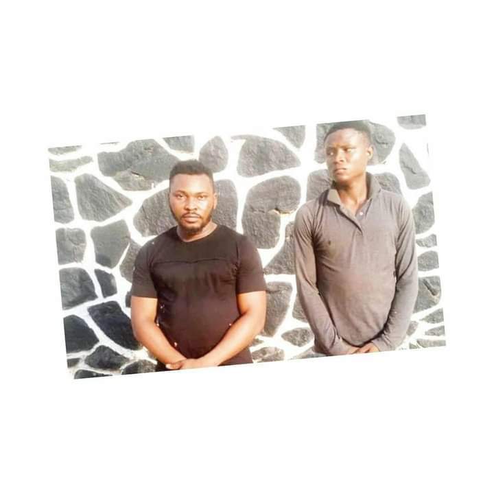 FB_IMG_1608546103936