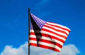 leonardo-silva-dj2lKclzlbY-unsplash-half2