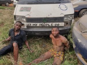 C73D9A35-CD21-44F3-BEC6-FC4B19F1BEF6