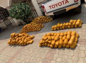 fake-military-officers-intercepted-with-234kg-illicit-drugs-photos