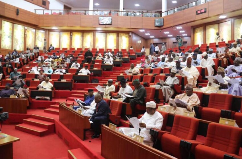  Discriminate against older persons, pay N2 million Fine, Senate warns