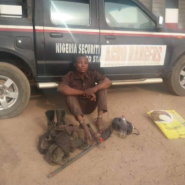 FB_IMG_1614775414182