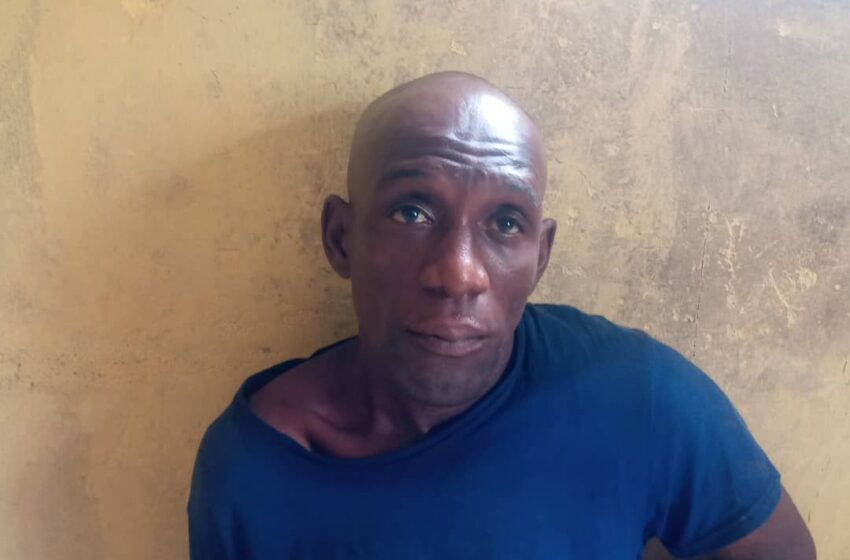  Man in police net for allegedly shooting co-tenant