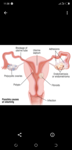 Screenshot_20210310-113843