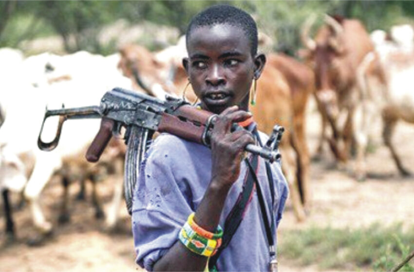  Suspected herdsmen kill 19 in Benue