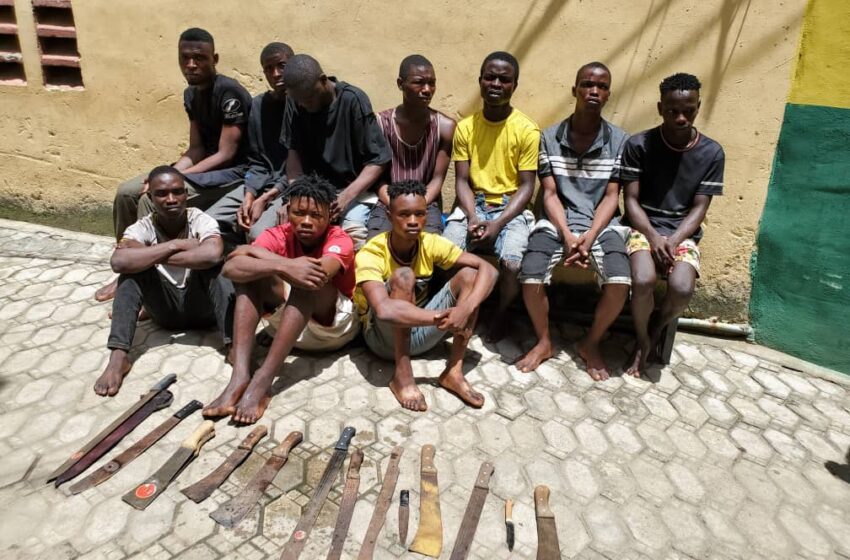  Police arrest 11 suspected cultists, traffic robbers
