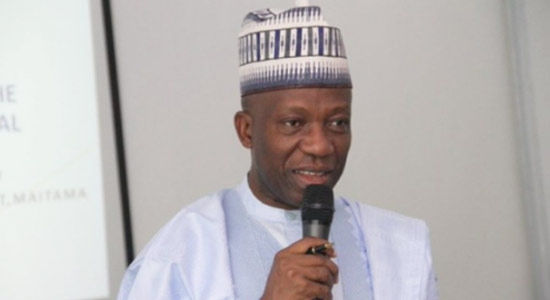 Lack Of Autonomy For Legislature, Judiciary Dangerous To Democracy, — NILDS DG