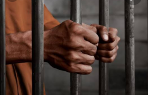 Screenshot_20210520-085732~2