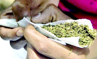  House of Rep to legalise Indian Hemp use in Nigeria