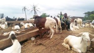 689AF41E-D8A7-4634-A8A2-FF6EEAF8FE62