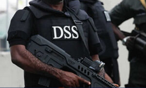 DSS (1)