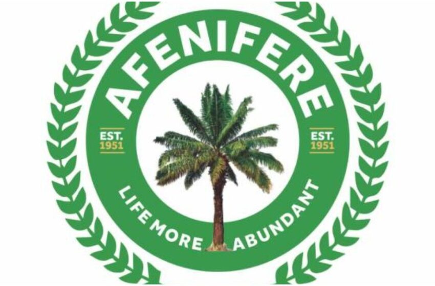  We must renegotiate our staying together -Afenifere
