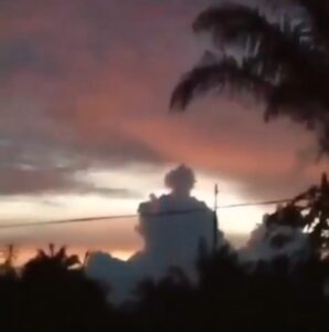 617557f4329d4-1016x1024