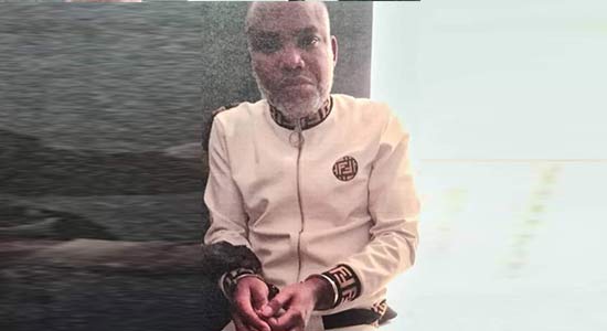 Nnamdi Kanu pleads not guilty to seven counts bordering on terrorism