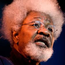  Nigeria not a complete disaster — Wole Soyinka