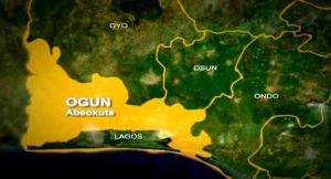  Land Dispute: 78-year old kills 94-year-old brother in Ogun