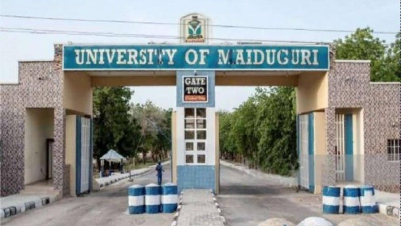 University-of-Maiduguri-UNIMAID-main-gate
