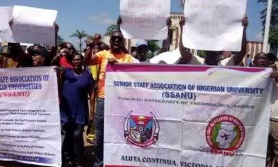  N22 billion Earned Allowance: NASU, SSANU begin 3-day protest