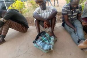 FB_IMG_1640320903324-370x247