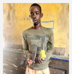 Screenshot_20211209-081938~2