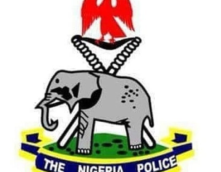  It will cost 3 Million to fully kit one Police officer –Lagos Security Trust Fund