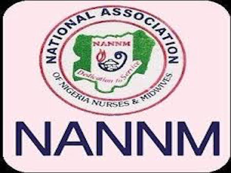 acead355-nannm-1