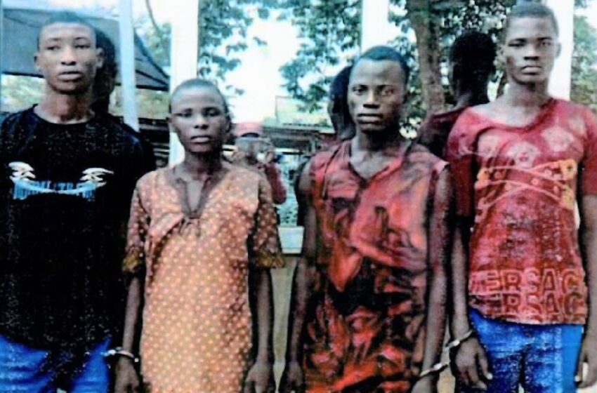  Amotekun arrests four High school students for raping girls in Ogun state