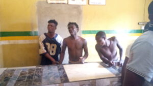 IMG_20220321_132540_2