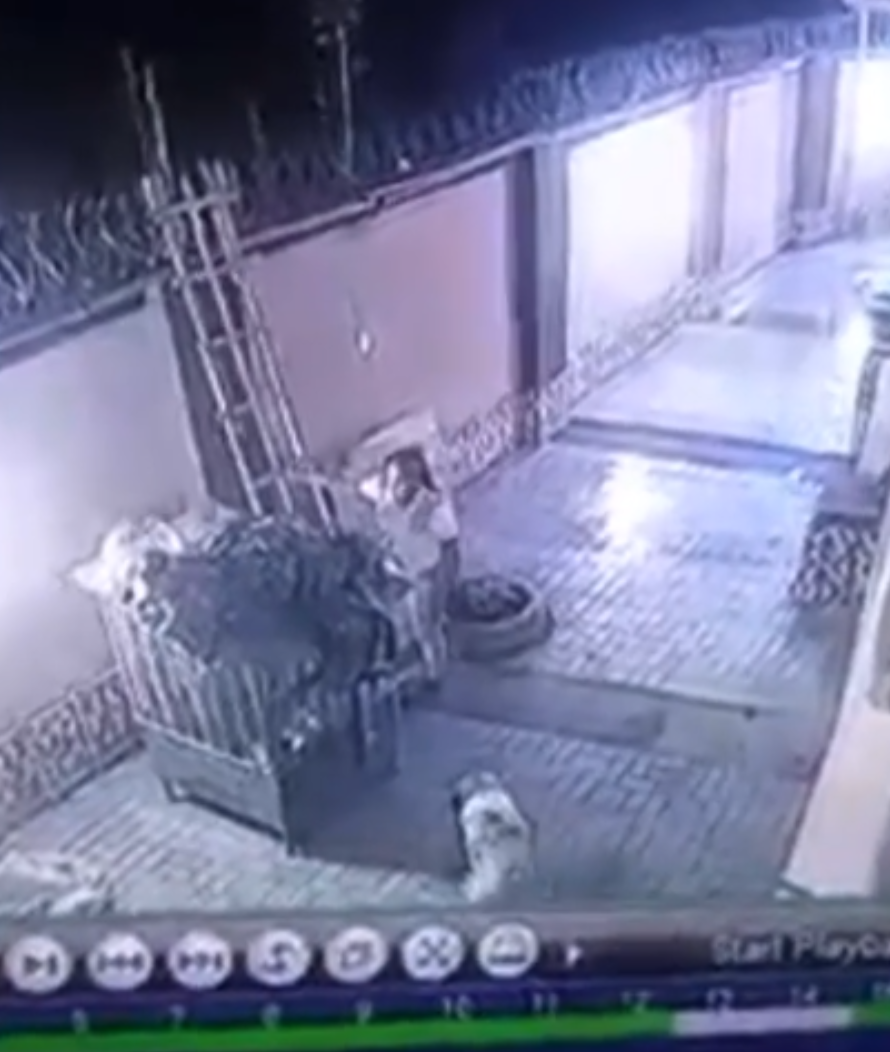 Screenshot_20220323-090852~2