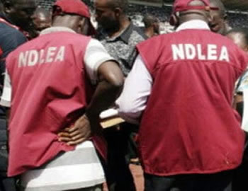  Over N5bn worth of tramadol seized in Abuja, Edo, Lagos – NDLEA