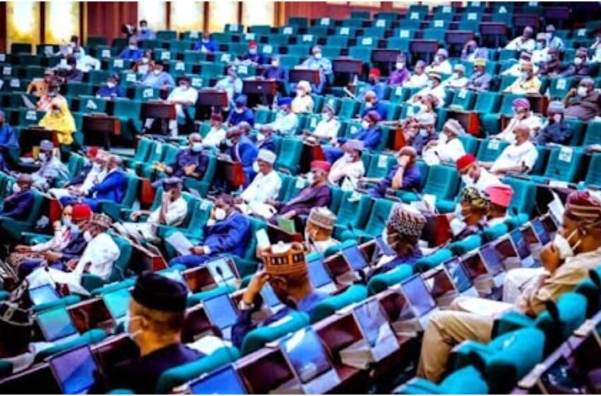  Reps to ban cross-dressing in Nigeria, offenders to face 6 months imprisonment