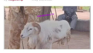 FB_IMG_1653936906243